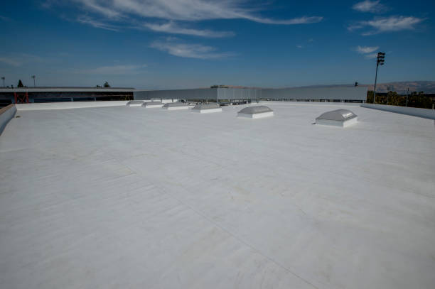Best 4 Ply Roofing  in Wakefield, VA