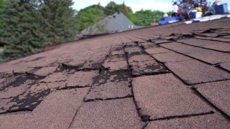 Fast & Reliable Emergency Roof Repairs in Wakefield, VA